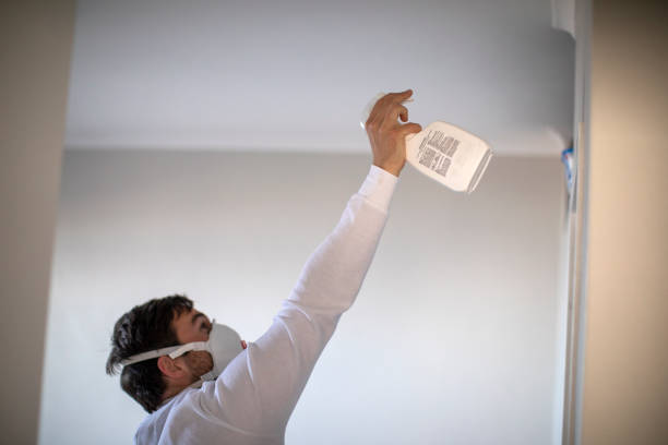 Best Residential Mold Remediation in Mason, OH