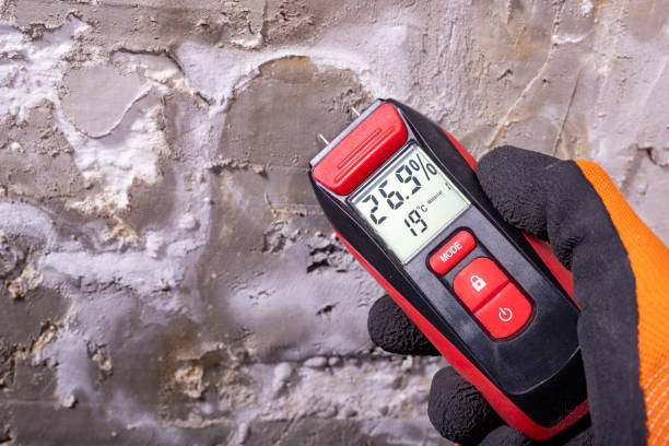Best Residential Mold Remediation in Mason, OH