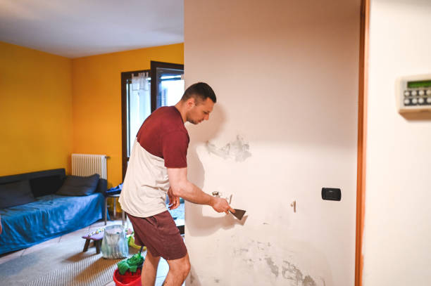 Best Post-Remediation Services in Mason, OH