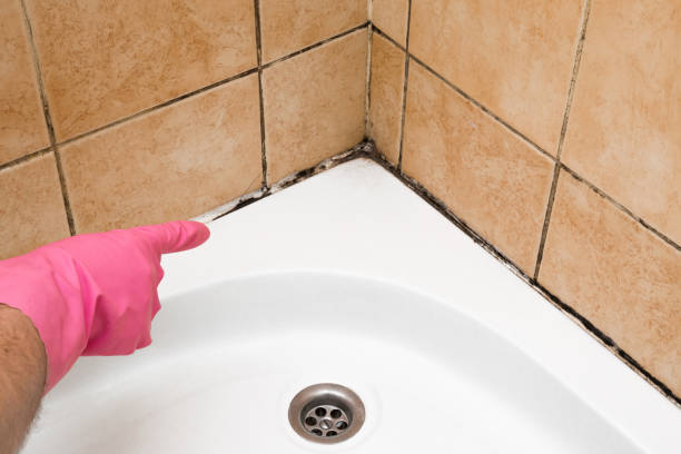 Professional Mold Remediation in Mason, OH